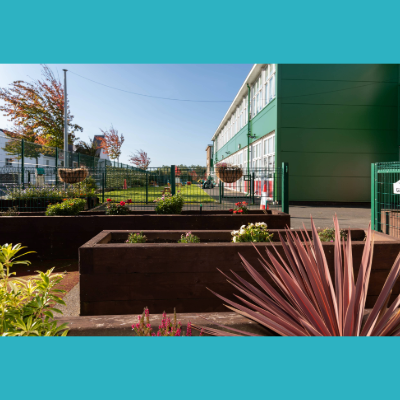 Belfast Hills Outside Garden - 400x400